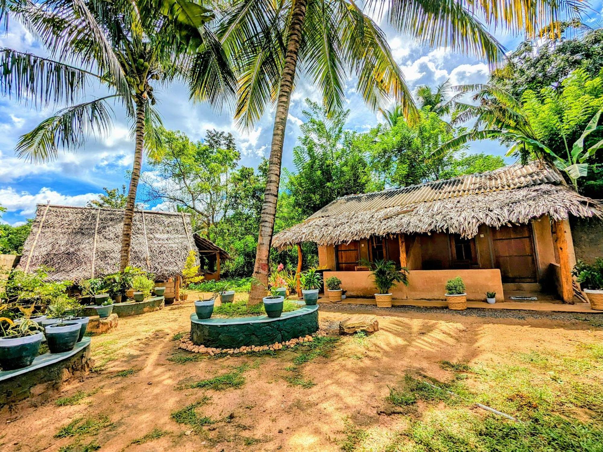 Maika Safari Lodge Udawalawe Exterior photo
